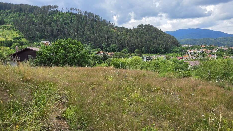 Teren intravilan cu vedere panoramica Sacele, Brasov - Poză 8