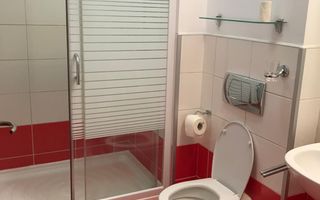 APARTAMENT COCHET CU 3 CAMERE LA INCHIRIERE IN ZONA GRADINA ZOO - Poză 12