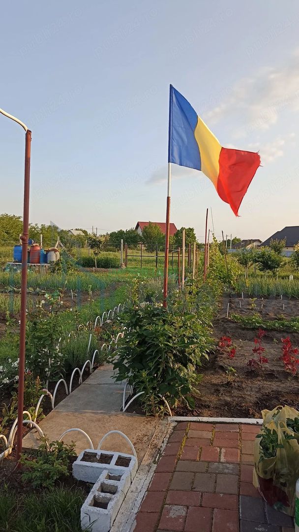 Teren Intravilan 470 mp   Horlești, Comuna Rediu (Proprietar) - Poză 2