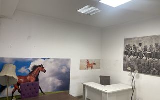 BRASADAS vinde ap Titulescu 100 mp + curte privată birou - Poză 8