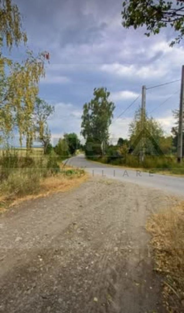 Teren extravilan, 4265 mp, zona Dangau Mare - Poză 2