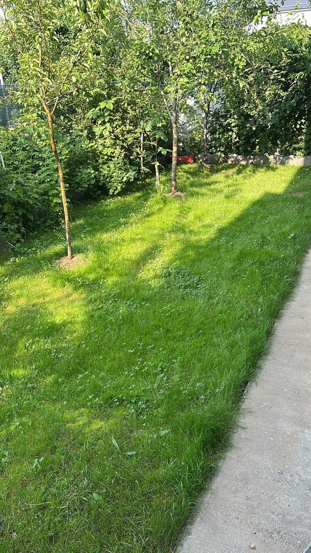 Vilă 4 camere | Tunari | De Vânzare - Poză 10