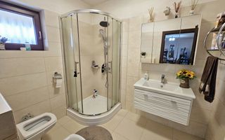 Casa 4 camere, mobilata, utilata, 500 mp teren, asfalt, Alba-Micesti - Poză 8