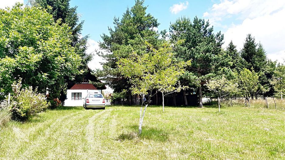 Casa de vacanta in Bran Predelut, la 10 min de Castel - Poză 8