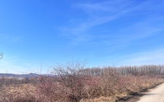 Vanzare I tTerenIntravilan I Suceava/Itcani I 18650 Mp I 89Euro/Mp - Poză 6