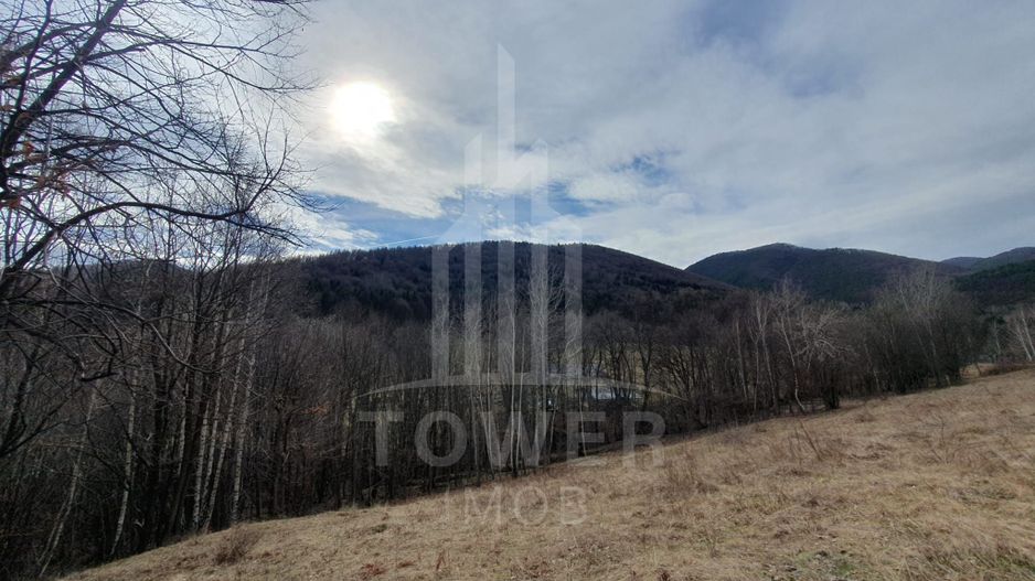 Teren Intravilan 2.938 mp | Tocile - Poză 9