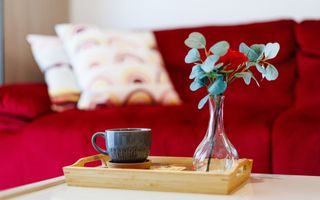 Apartament spatios si modern, Bd. Take Ionescu, Comision 0 - Poză 8