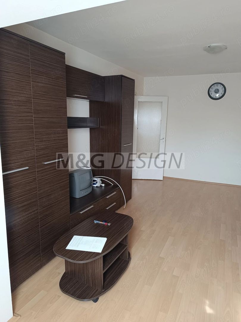Apartament 1 camera Sagului etaj 3 - Poză 2