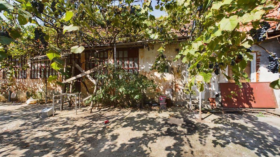 Oportunitate de investiţie, casă cu teren,  în Şuştra, Timiş - Poză 3