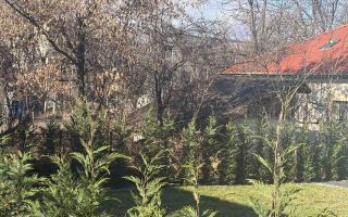 Oportunitate!Teren plus casa ultracentral!! - Poză 2