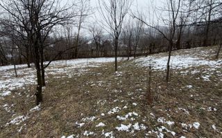 Teren 4652 mp cu izvor pe el, Lunca Mare, lângă păstrăvăria Doftana - Poză 7