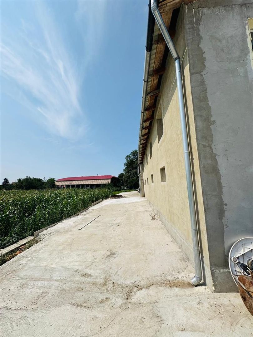 Hala 373 mp + teren in Santaul Mic - Poză 6