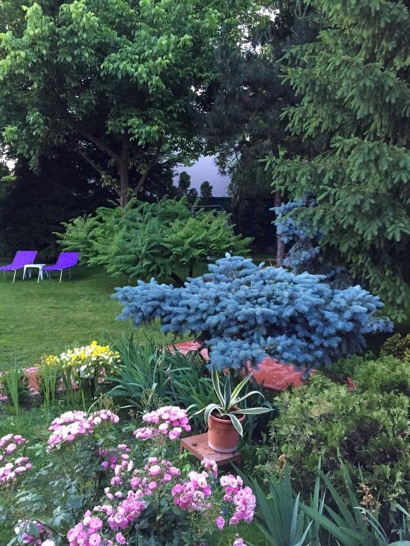 PROPRIETATE CU ENERGIE PURA |  Sanctuarul Eleganței și Rafinamentului - Poză 20