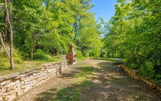 Nu este doar o vilă. Este refugiul tău verde cu 38 ari și pădurice proprie! - Poză 5