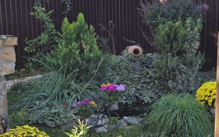 VILA CU SPA PRIVAT SI TEREN GENEROS IN TUNARI - Poză 24