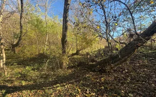Teren langa pădure 6400mp+casa demolabila-deschidere 35 ml - Poză 12