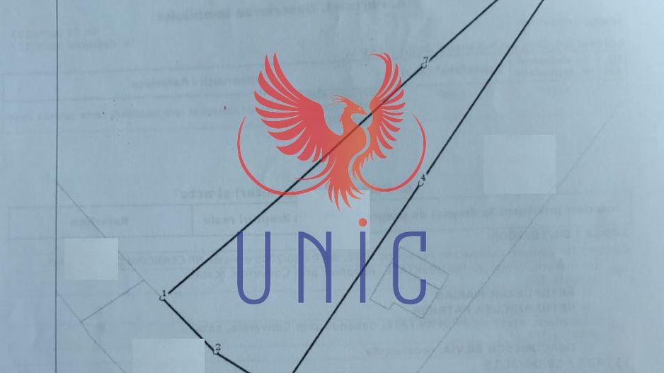 Teren intravilan-la strada principala, Robanesti - Poză 4