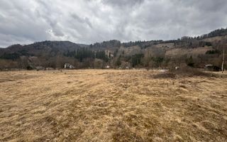 TEREN INTRAVILAN 500 MP SĂTIC- RUCĂR - Poză 3