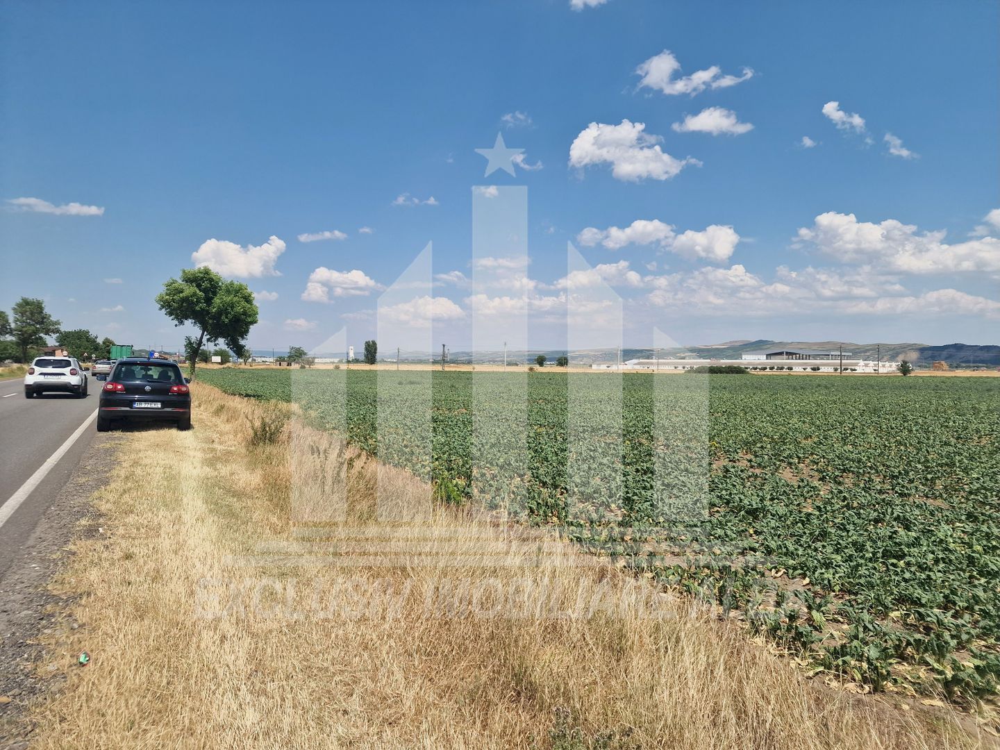 Teren agricol la sosea, pretabil si ptr constructii industriale - Poză 2