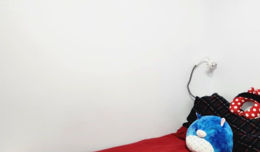 Apartament 2 camere, etajul 1, Aleea Steaza - Poză 2