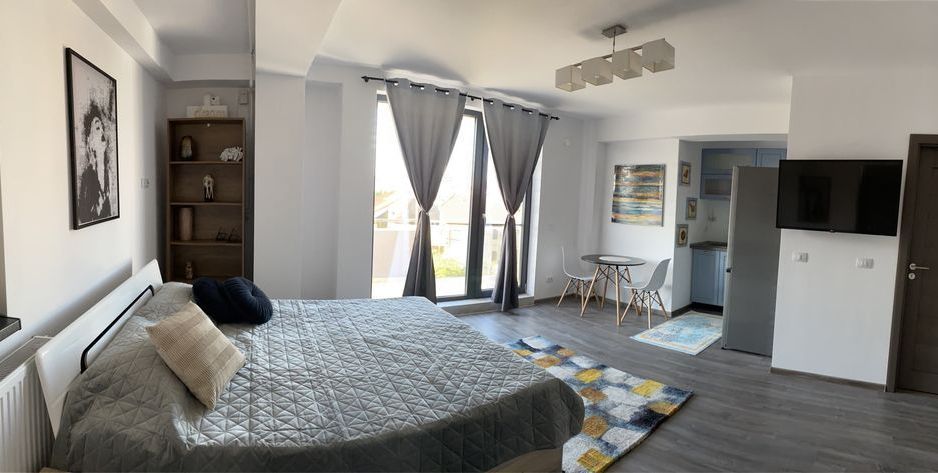 Studio Mamaia Nord - Poză 7