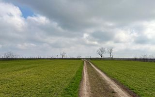 Teren de vanzare in Săcele ideal pentru silozuri, fermă 6 ha - Poză 16