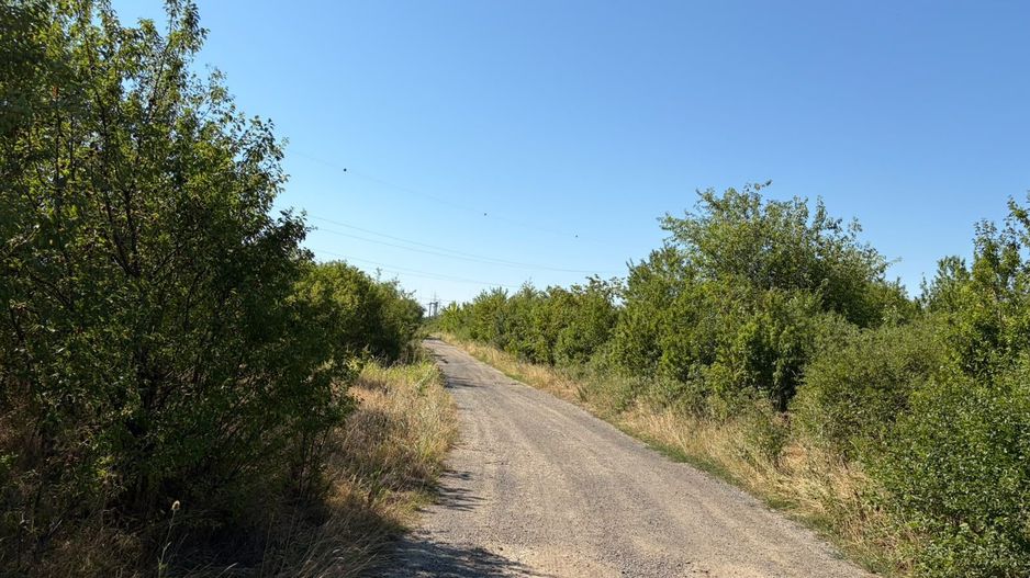 Vând teren langa Timișoara excelent pentru un parc de fotovoltaice - Poză 9