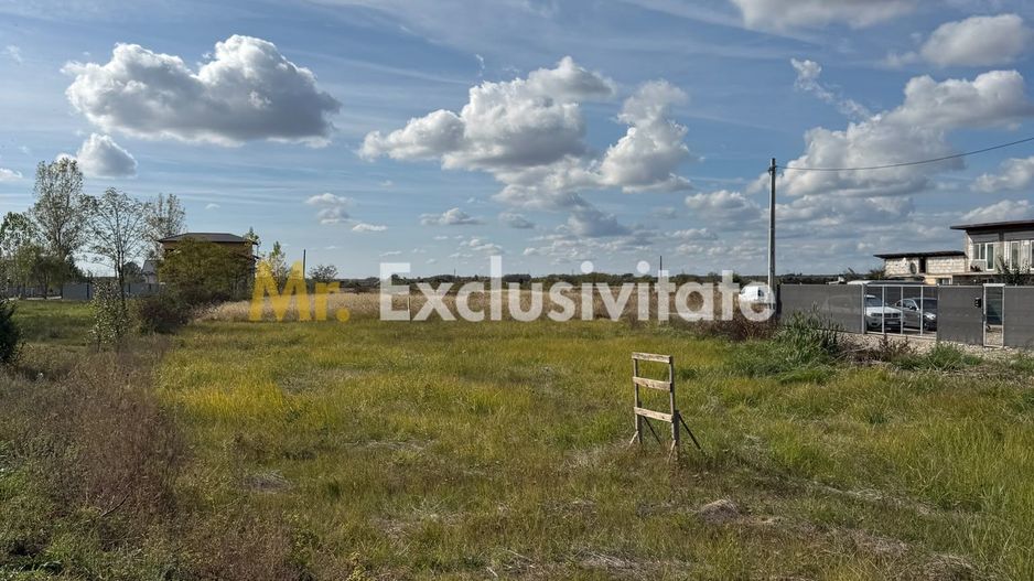 TEREN INTRAVILAN 3 LOTURI | 1.334 MP | BRADU | POTENȚIAL INVESTIȚIONAL - Poză 5