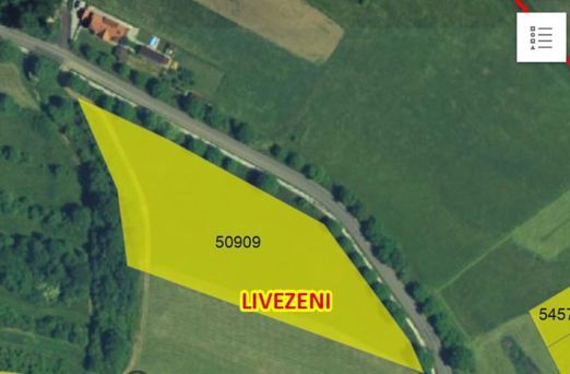 Teren intravilan -Sânișor- 8700 mp - Poză 6