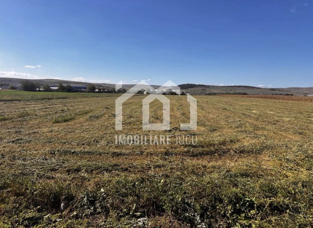 Teren intravilan – 5.800 mp | Jucu de Mijloc - Poză 2