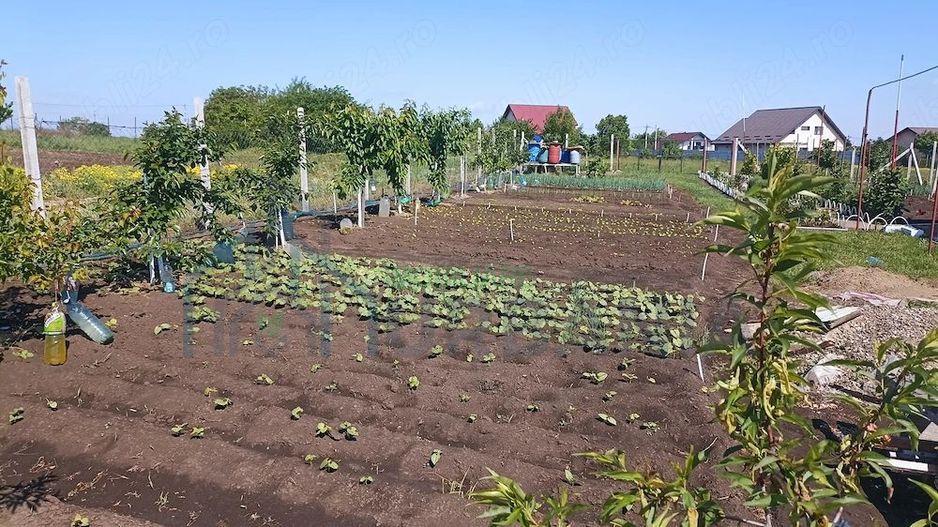 Teren Intravilan 470 mp   Horlești, Comuna Rediu (Proprietar) - Poză 3