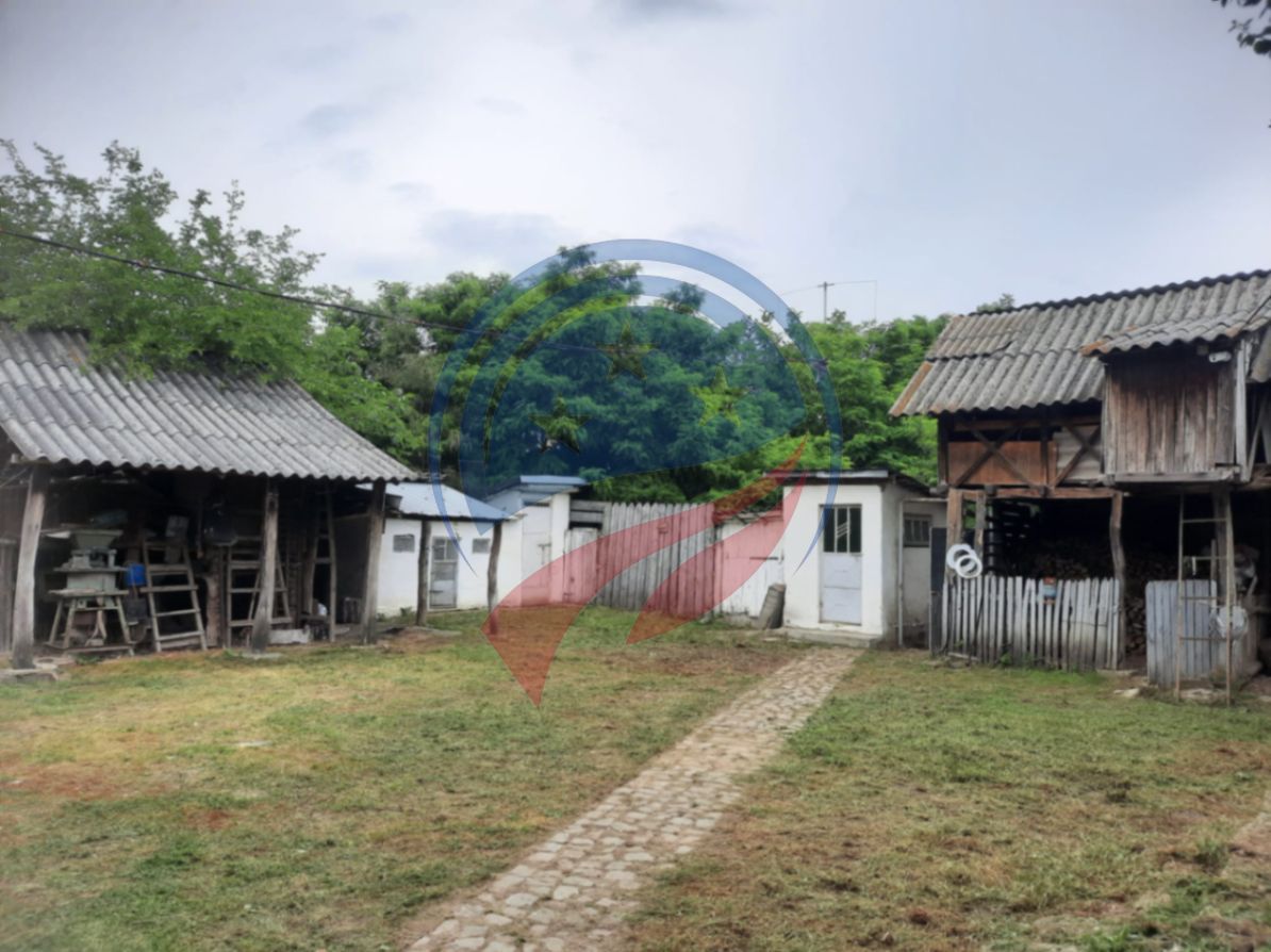 Casa de vanzare/Balcesti/Valcea/Str Pietii - Poză 23