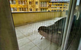 Apartament 2 camere, 54 mp, parcare, zona KIK - Poză 13