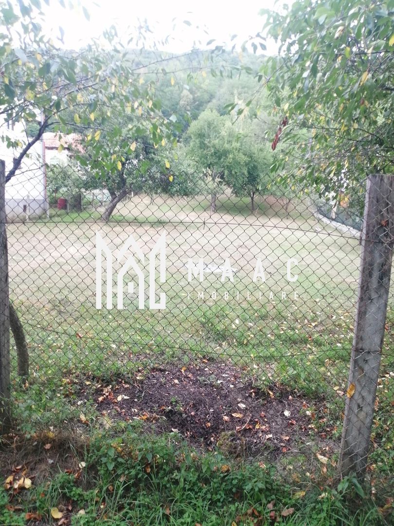 Teren Intravilan 10.000 mp | Livadă + Pădure de salcâm | Bărbătești - Poză 6