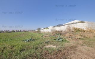 OCAZIE ! TUNARI - Cartierul Tineretului, 8.190 mp. teren intravilan - Poză 5