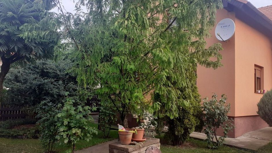 BRASADAS vinde casa cu 6 camere si teren 1200mp în Amati. - Poză 2