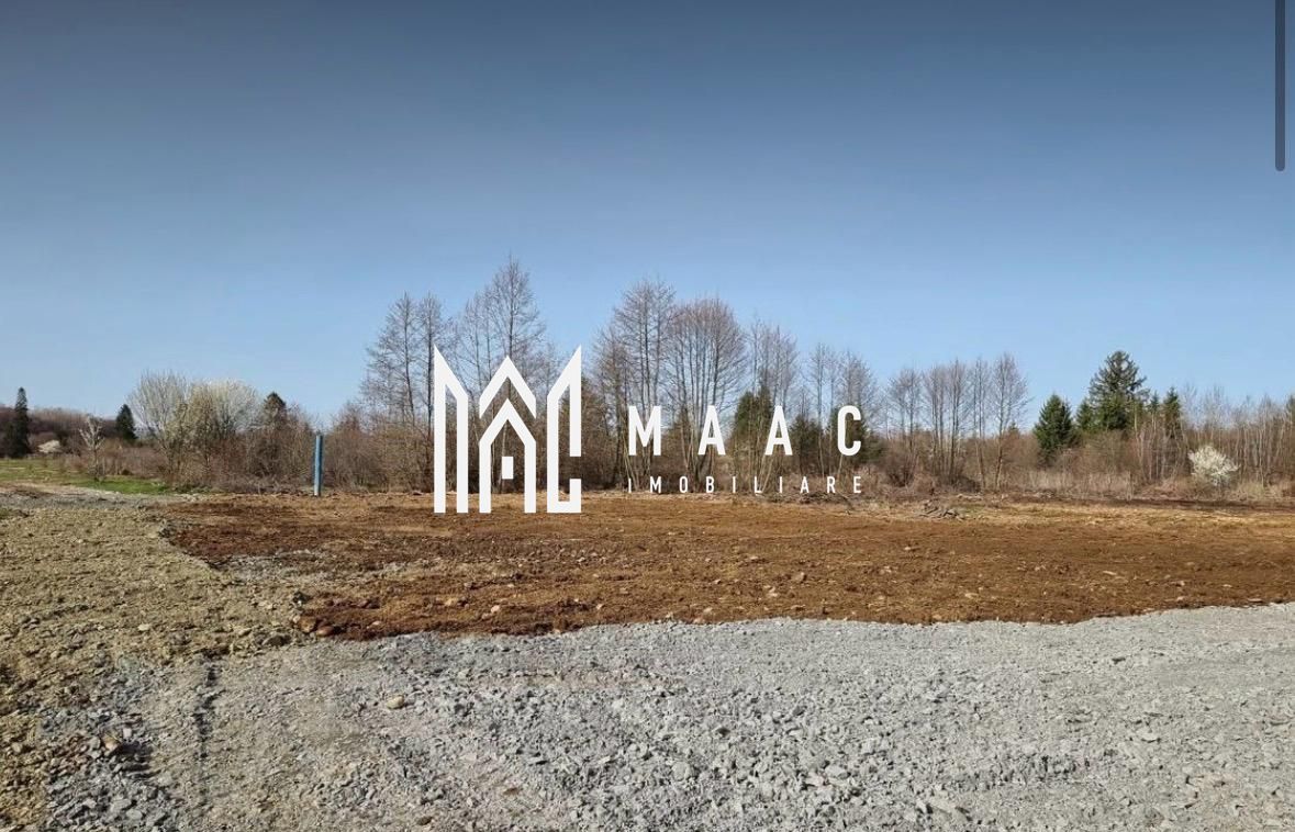 TEREN INTRAVILAN 4007 MP I VALEA AVRIGULUI - Poză 1