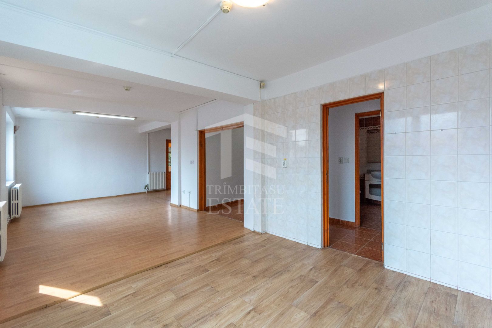 Aviatiei | Smaranda Braescu | Vila reprezentativa de inchiriat - Poză 36