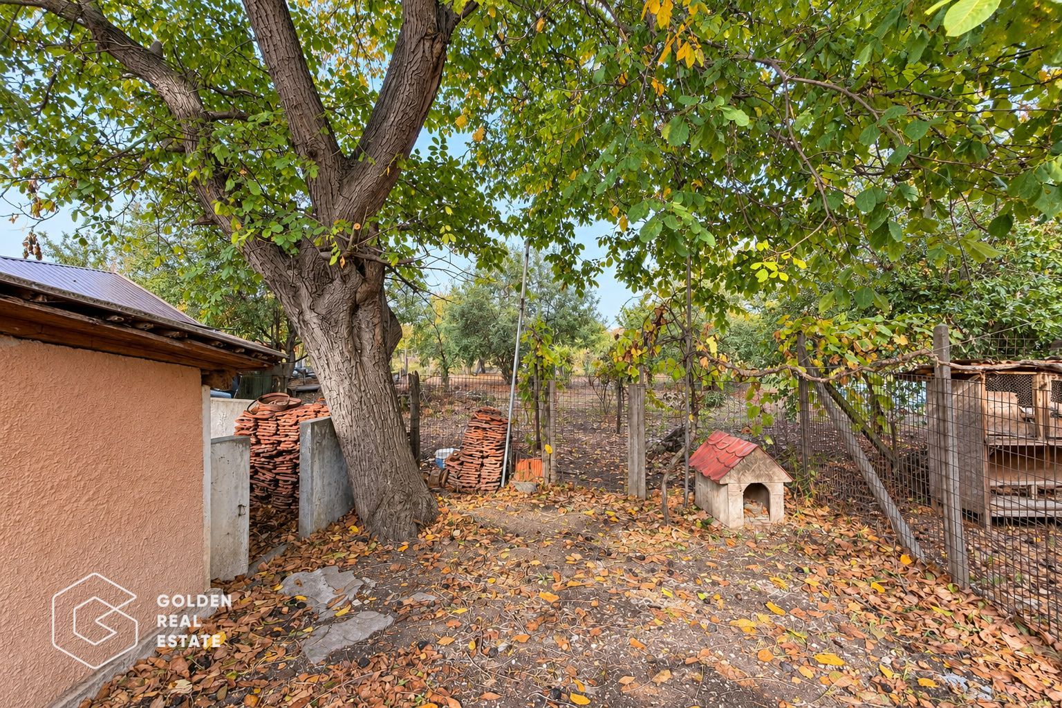 Casa 4 camere, anexe, teren 1349 mp, Galsa - Poză 12