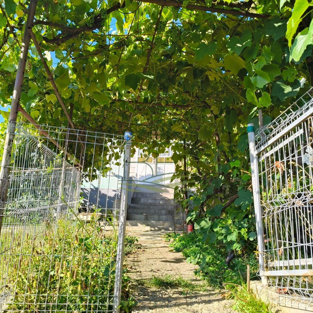 O gospodărie cu farmec autentic, în inima satului Merești - Poză 1