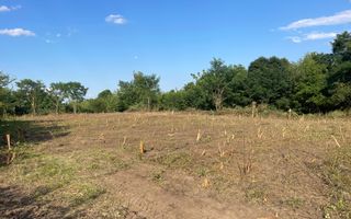 Oportunitate de Investiție Strategică | Teren Intravilan | Colonia Becas - Poză 4