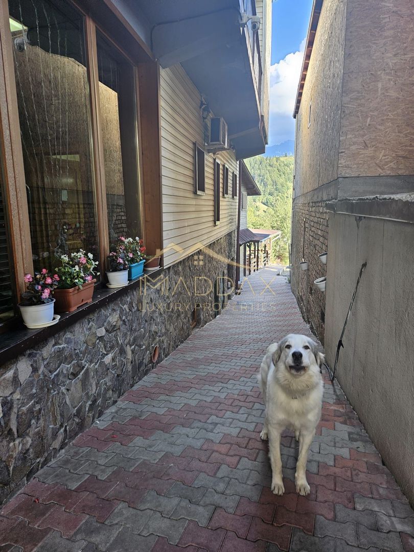 Pensiune 10 camere cu restaurant // teren 900 mp // Moieciu de Jos - Poză 6