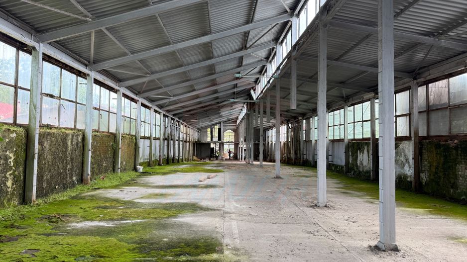 Hala In oras str Traian eligibil program "Tranzitie Justa" - Poză 6