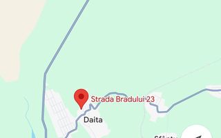 Vânzare – Teren Intravilan cu Livadă, Sat Plopsoru, Comuna Daia - Poză 1