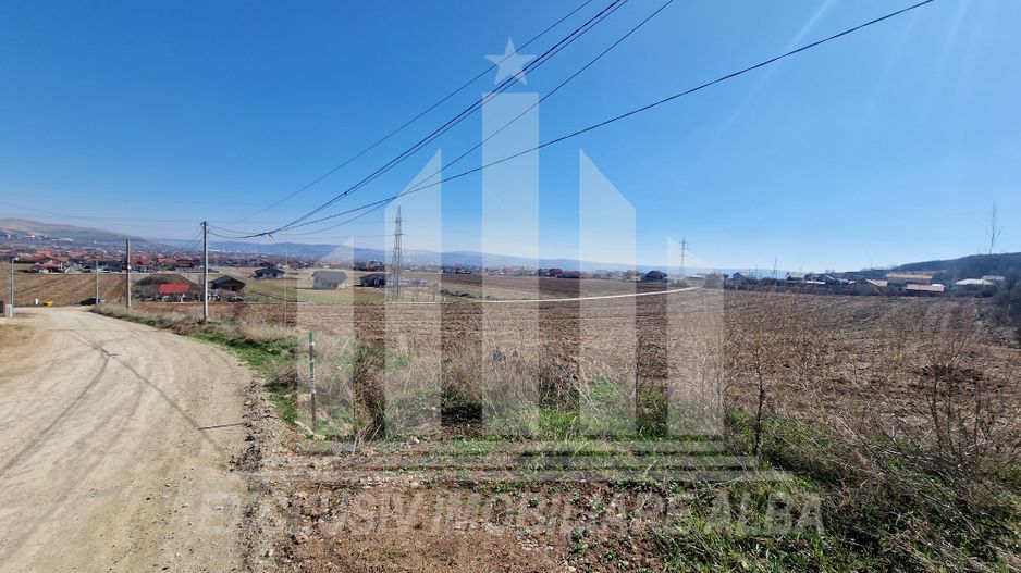 Teren de vanzare in Micesti - Poză 4