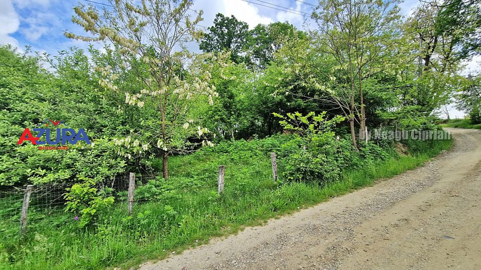 AZURA Imobiliare - Vila la 5 km de Curtea de Arges - Poză 47