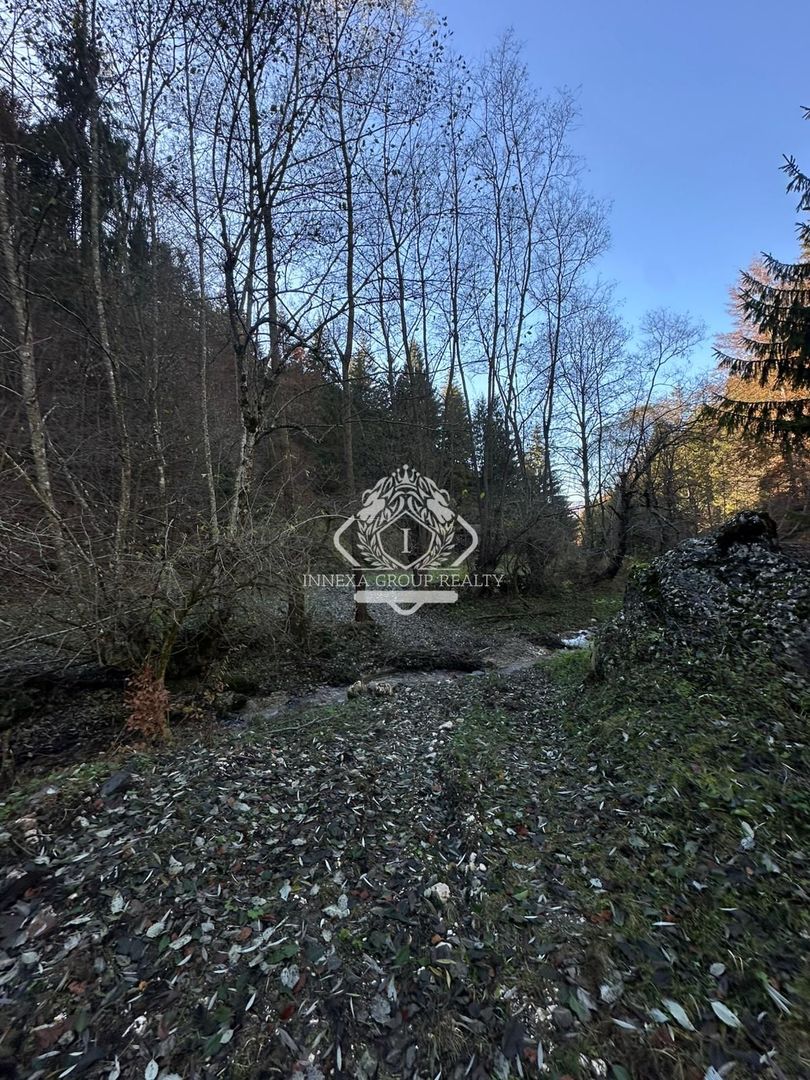 Teren 2.882 mp – oportunitate investitie - Cheile Dâmbovicioarei - Poză 11