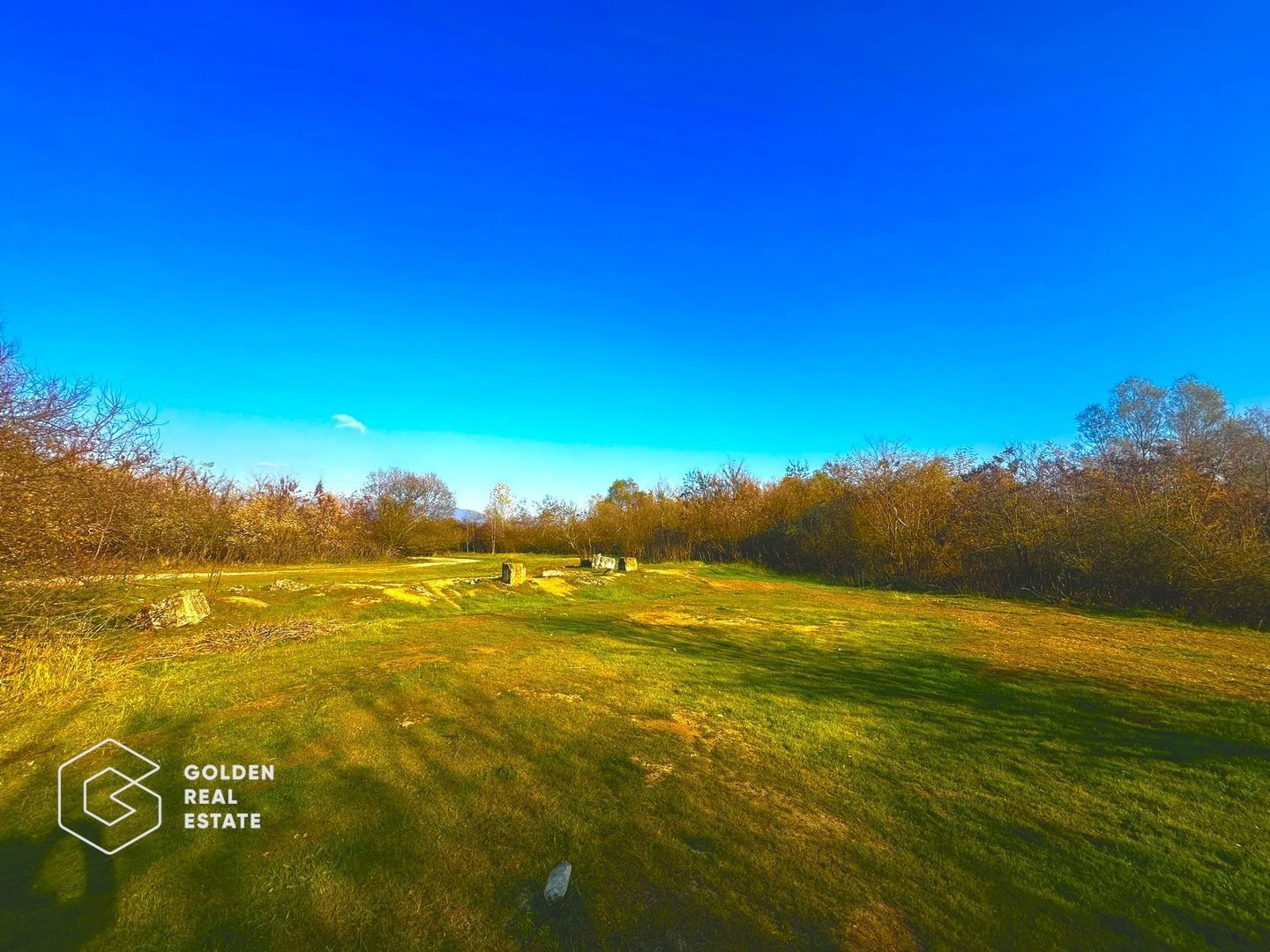 Teren intravilan 71.000mp, Barsa, Renumita Fabrica de caramida si casa 4 camere - Poză 5