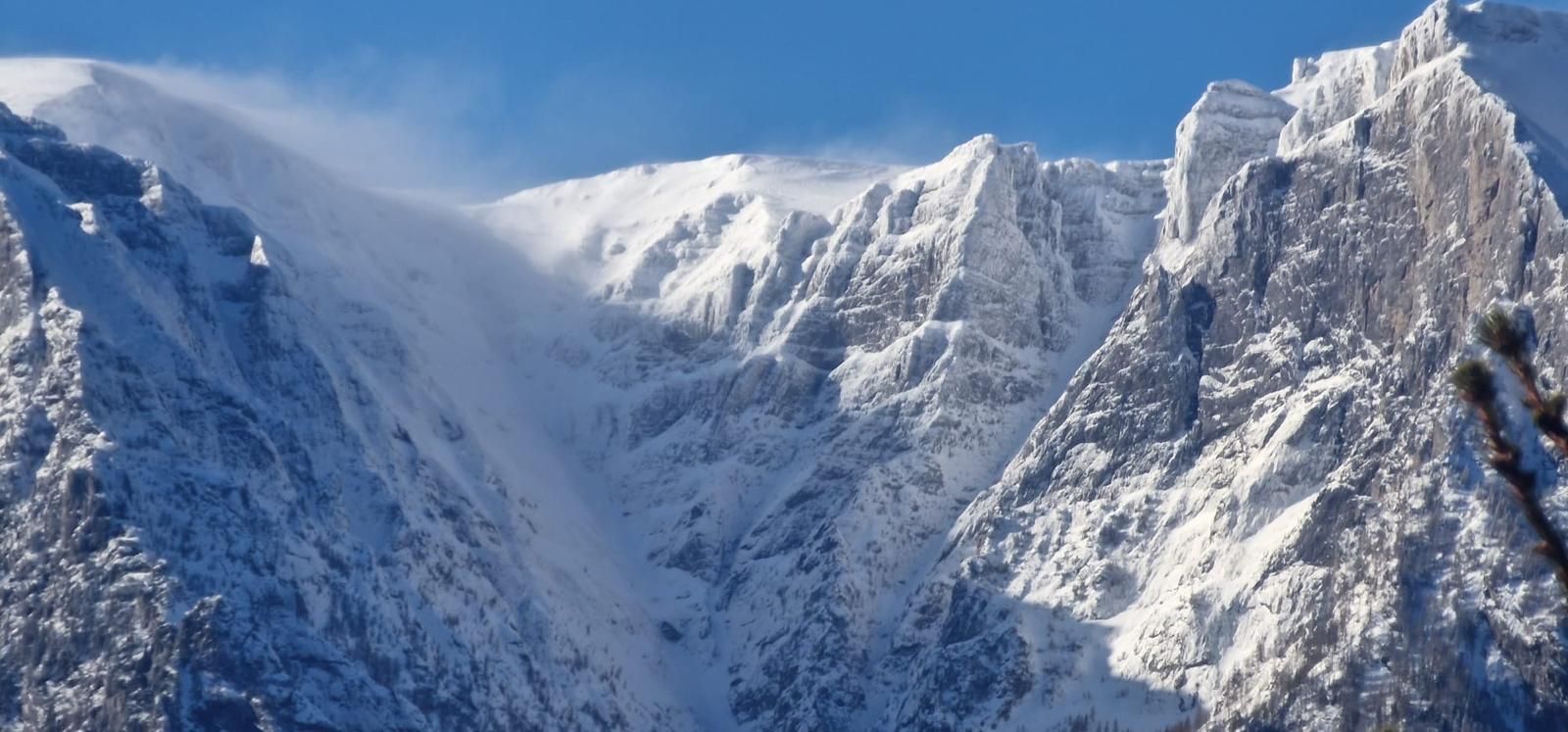 Casa de vacanta la liziera padurii cu vedere libera catre muntii Bucegi - Poză 16