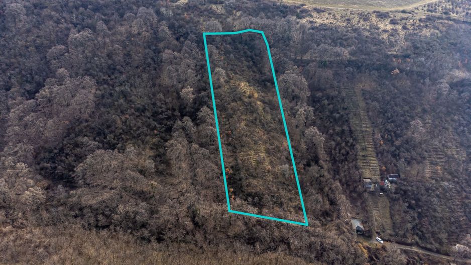 Teren în Ghioroc pe deal - Poză 1